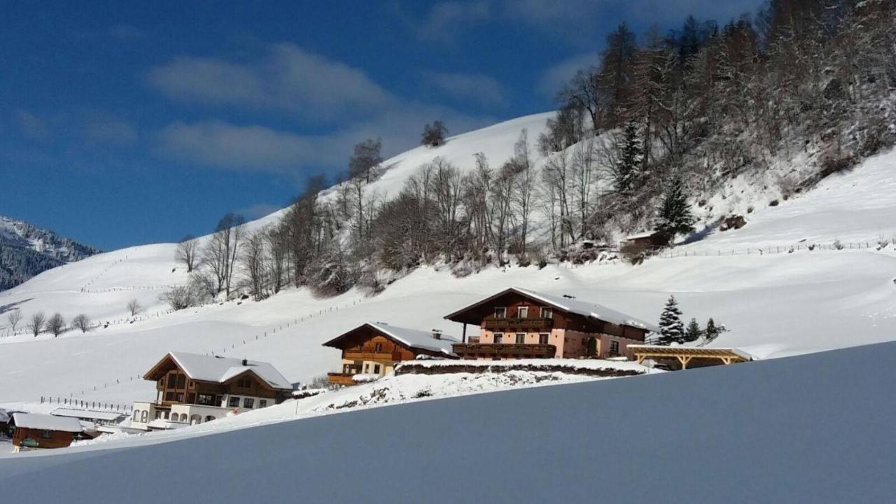 Gaestehaus Hagenhofer Apartman Dorfgastein Kültér fotó